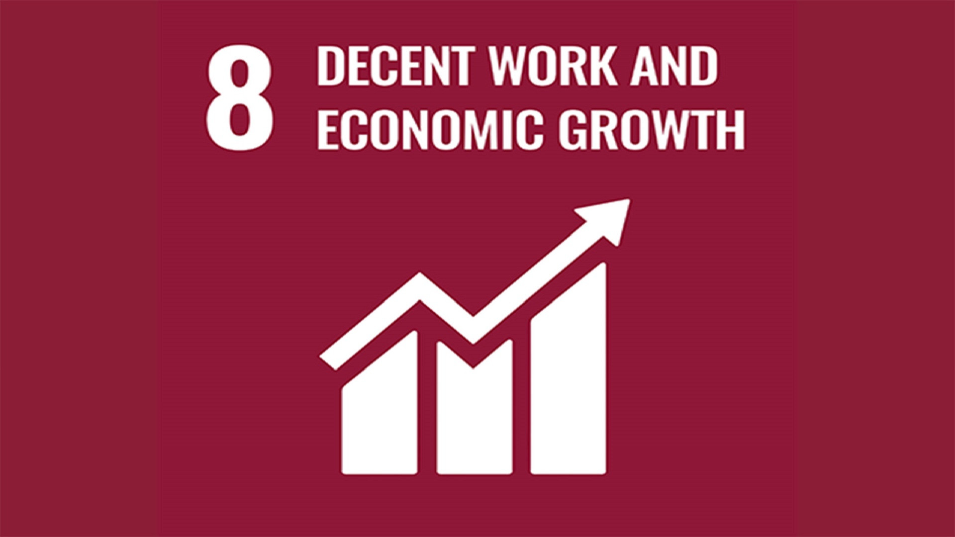 聯合國永續發展目標 8: 體面工作和經濟增長